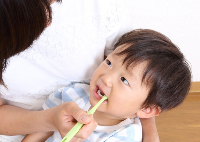 まずはお口をあけることに慣れてもらいましょう